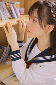 啄木鸟和满天星系列从哪里看